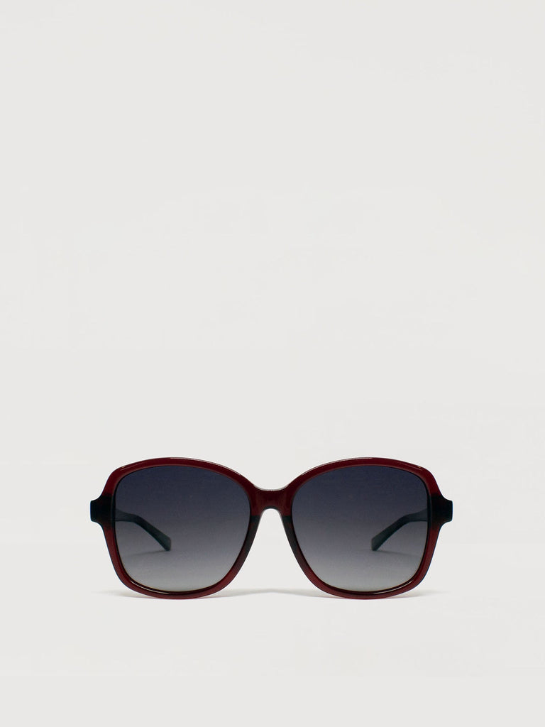 Cosette Acetate Women's Sunglasses - BONIA